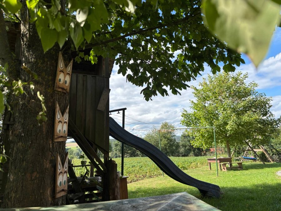 Baumhaus in einem großen Laubbaum mit langer Rutsche, daneben Wiese und Blick über die Felder
