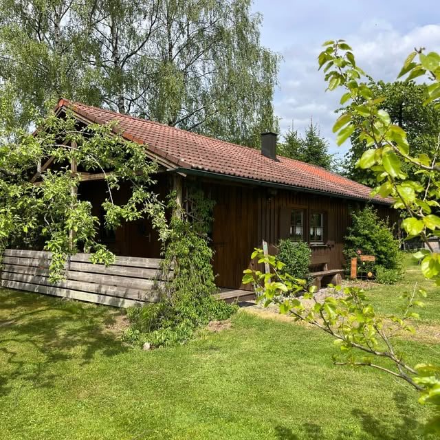 Das Holzhaus von der Seite, gerahmt von den Zweigen eines Apfelbaums