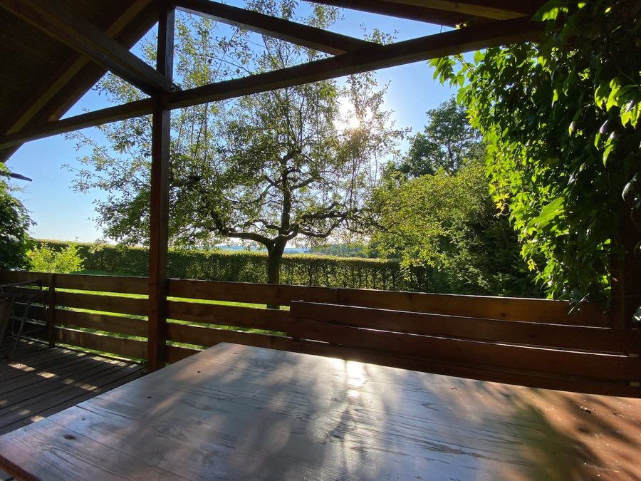 Überdachte Holzterrasse mit langem Tisch und Blick über die Hecke auf einen alten Obstbaum